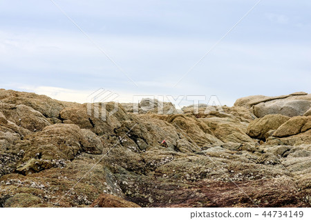 reef is a group of rocks a ridge of sand blue sky reef is a group of rocks a ridge of sand blue sky 44734149