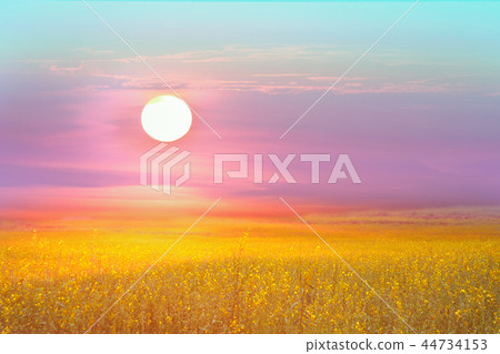 sunhemp in the valley sundawn and the color sky 44734153