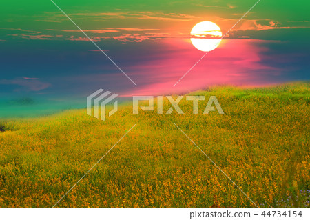 sunhemp in the valley and the sundawn colorful sky sunhemp in the valley and the sundawn colorful sky 44734154