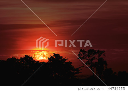 sunset back over silhouette tree in evening sky sunset back over silhouette tree in evening sky 44734255