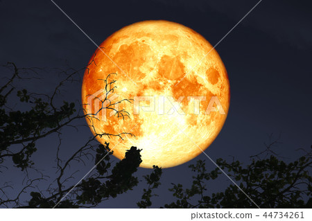 super full blood moon floats in dark night sky 44734261