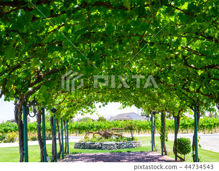 Livermore City, California Winery Livermore City, California Winery 44734543