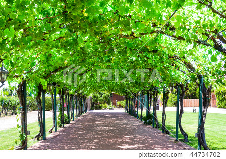 Livermore City, California Winery Livermore City, California Winery 44734702