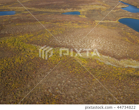 Tundra Alaska Tundra of the high latitudes of Alaska 44734822
