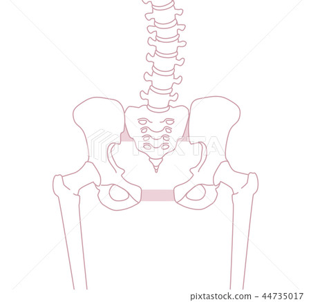 Loose pelvis Loose pelvis 44735017