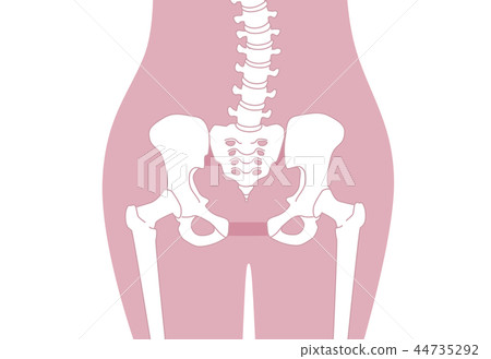 Loose pelvis Lumbar pink Loose pelvis Lumbar pink 44735292