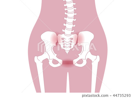 Loose pelvis Lumbar pink Loose pelvis Lumbar pink 44735293