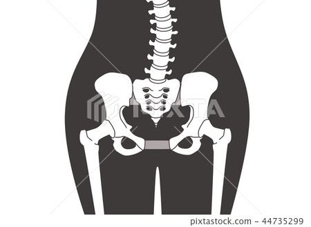 鬆散的骨盆腰部黑色 44735299