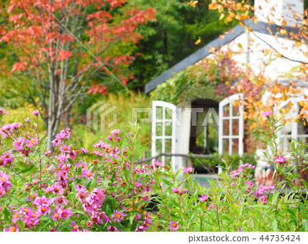 富良野秋季英式花園 44735424