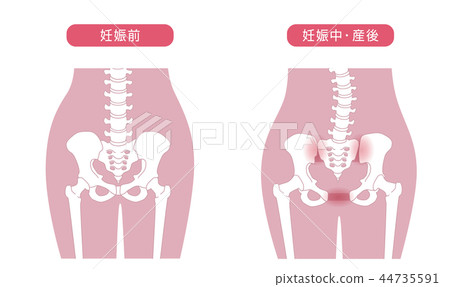 骨盆鬆動 骨盆鬆動 44735591