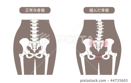 骨盆鬆動 44735605