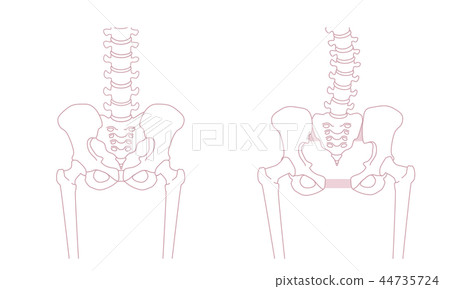 Loose pelvis 44735724