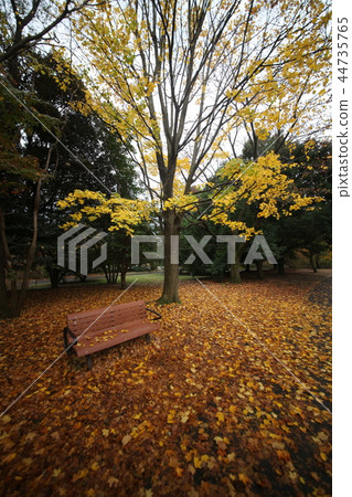 autumn sky  44735765