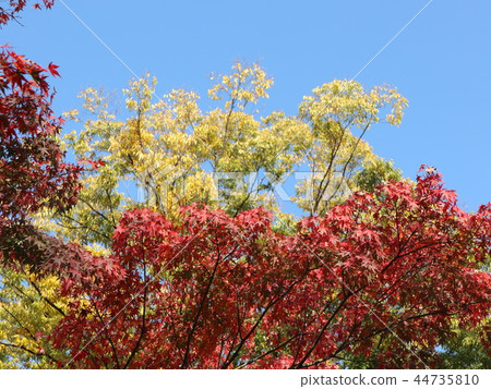 autumn sky autumn sky 44735810