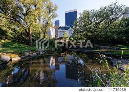 中央公園和建築物 44736086