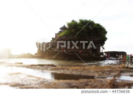 Tanah Lot Temple 44736636