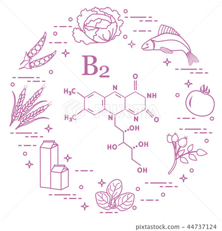 Foods rich in vitamin B2 Fish, peas and other. 44737124