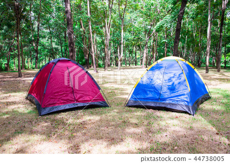 Camping and tent under tree in morning sunrise. 44738005