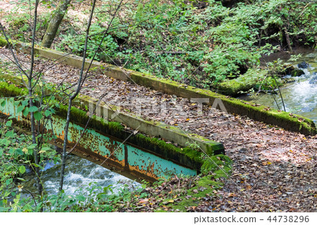 有下落的葉子的一座橋樑/有下落的葉子的一座橋樑 有下落的葉子的一座橋樑/有下落的葉子的一座橋樑 44738296