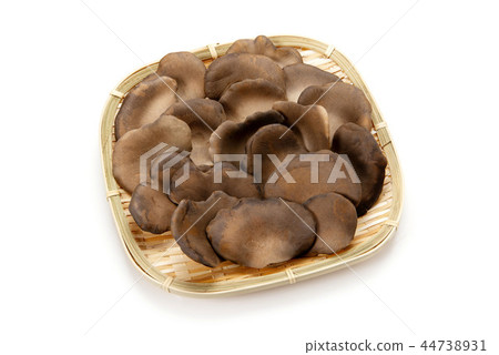 Black Abalone Mushroom Black Abalone Mushroom 44738931