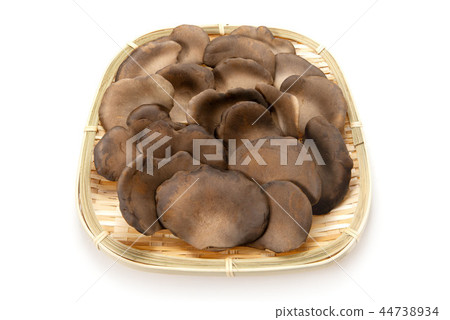 Black Abalone Mushroom Black Abalone Mushroom 44738934