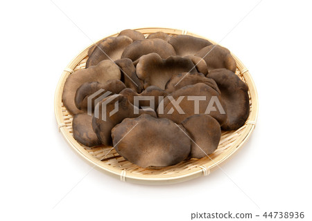 Black Abalone Mushroom Black Abalone Mushroom 44738936