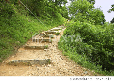 小徑 小徑 44739617