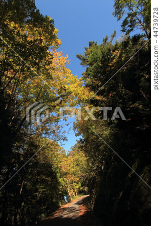 Ohira Highway Iida City, Nagano Prefecture Ohira Highway Iida City, Nagano Prefecture 44739728