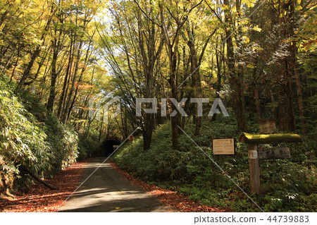 Kashitake mountain climbing opening Ohira Pass Iida City, Nagano Prefecture 44739883