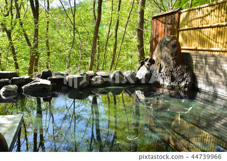 新鮮的綠色溫泉室外浴 新鮮的綠色溫泉室外浴 44739966