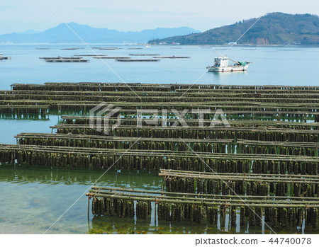 抑制架子 抑制架子 44740078