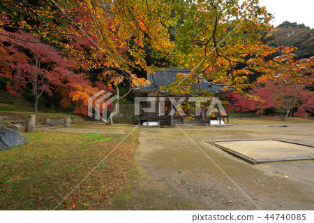 Honkyou-ji秋葉 44740085