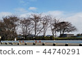 Blue sky _05 of emerging residential area 44740291