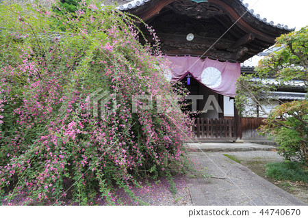 Shikoku special grade 20th Remembrance Center No. 16 billet "Sugawara Temple" Sakai Festival (Guest Hall) Shikoku special grade 20th Remembrance Center No. 16 billet "Sugawara Temple" Sakai Festival (Guest Hall) 44740670