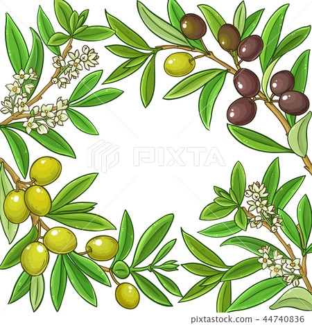 olive vector frame olive vector frame 44740836