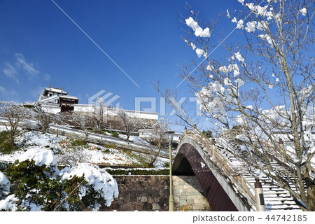 Fukuchiyama Castle of the snow scene under the blue sky (2) Fukuchiyama Castle of the snow scene under the blue sky (2) 44742185