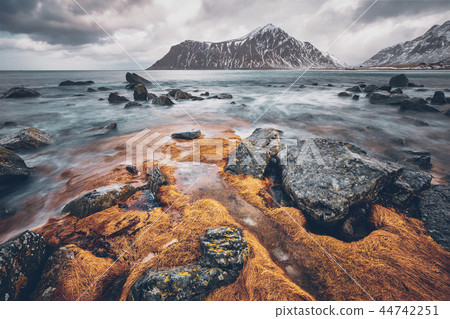 Rocky coast of fjord in Norway 44742251