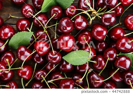 red sweet cherries as background red sweet cherries as background 44742888