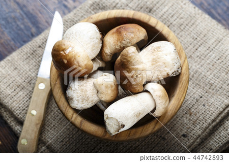 boletus mushrooms in a plate 44742893