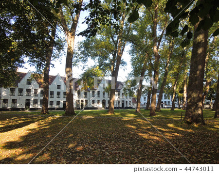 Bruges 44743011