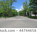 一條路 44744658