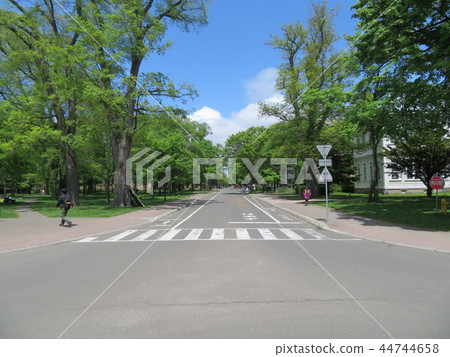 一條路 一條路 44744658