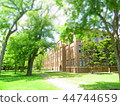 北大學 44744659