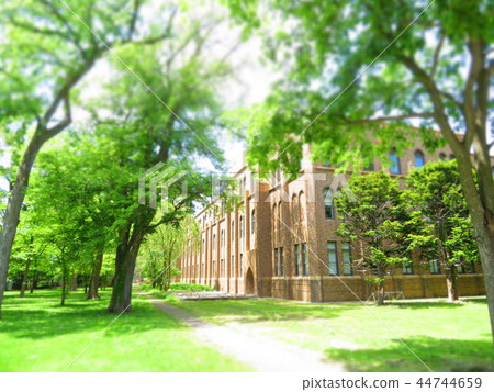 北大學 44744659