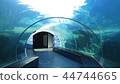 水族館 44744665