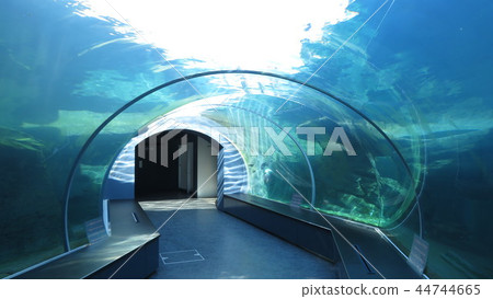 水族館 水族館 44744665