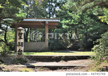 金澤市Bokekodai 金澤市Bokekodai 44745749