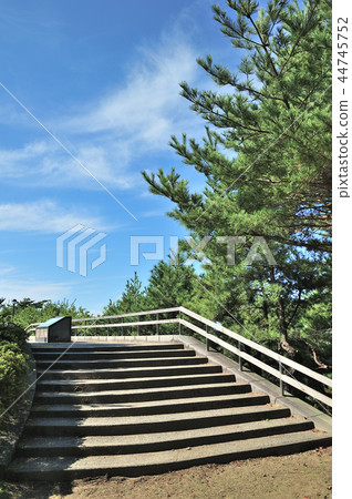 Kanazawa City Bokekodai 44745752