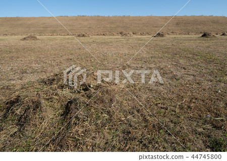 Weeding work Weeding work 44745800