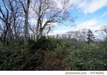 Alanuma mountain climbing course scenery (Sapporo mountain branch) 44746062